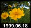 1999.06.18