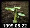 1999.06.22