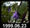 1999.06.23