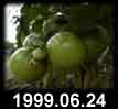 1999.06.24