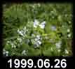 1999.06.26
