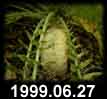 1999.06.27