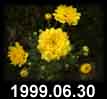 1999.06.30