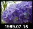 1999.07.15