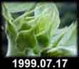 1999.07.17
