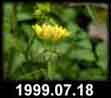 1999.07.18