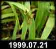 1999.07.19