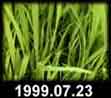 1999.07.23
