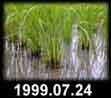 1999.07.24