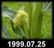 1999.07.25