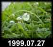 1999.07.27