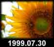 1999.07.30