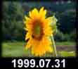 1999.07.31