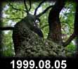 1999.08.05