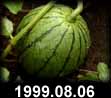 1999.08.06