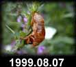 1999.08.07