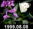 1999.08.08