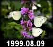 1999.08.09