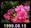 1999.08.15