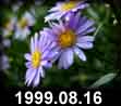 1999.08.16