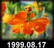 1999.08.17