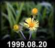 1999.08.20