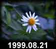 1999.08.21