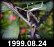 1999.08.24