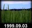 1999.09.03