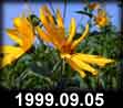 1999.09.05