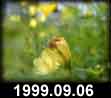 1999.09.06