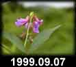1999.09.07