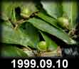 1999.09.10
