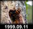1999.09.11