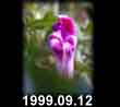 1999.09.12