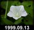 1999.09.13