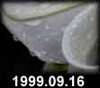 1999.09.16