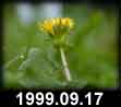 1999.09.17