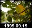 1999.09.19
