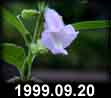 1999.09.20