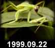 1999.09.22