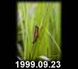 1999.09.23