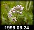 1999.09.24