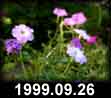 1999.09.26
