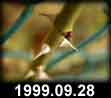 1999.09.28