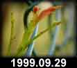 1999.09.29