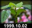 1999.10.02
