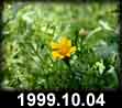 1999.10.04