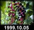 1999.10.05