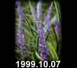 1999.10.07